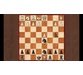 تله ها و تاکتیک های شروع بازی شطرنج: از مبتدی تا میانی 5