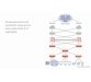 طراحی شبکه و ارزیابی عملکرد با شبیه سازی ها 1