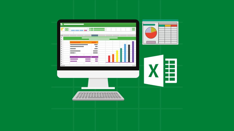 Beginner to Pro in Microsoft Excel: Business Data Analysis