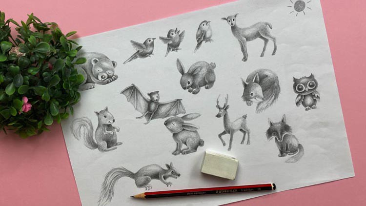 Draw in 60 Seconds: Woodland Animals