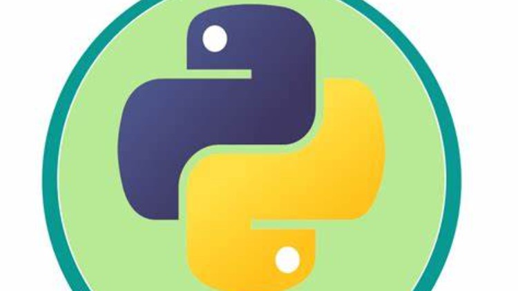 The Python Problem-Solver’s Toolkit: 300 Hands-On Exercises