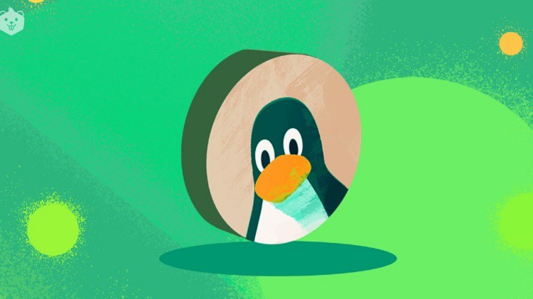 Linux Administration & Linux Command Line For Beginners