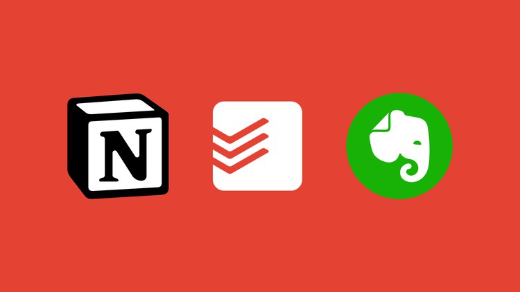 Triple Productivity Boost: Notion, Evernote, Todoist