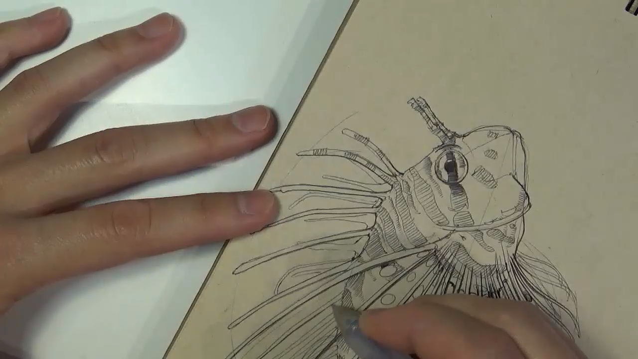 Dynamic Sketching – Fish