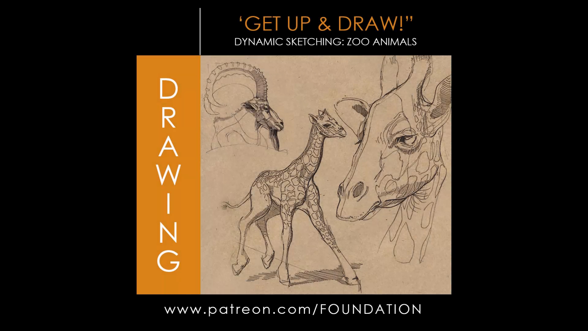 Dynamic Sketching – Zoo Animals