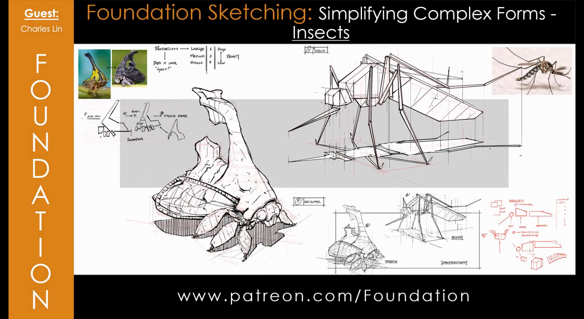 Foundation Sketching – Simplifying Complex Forms – Insects with Charles Lin