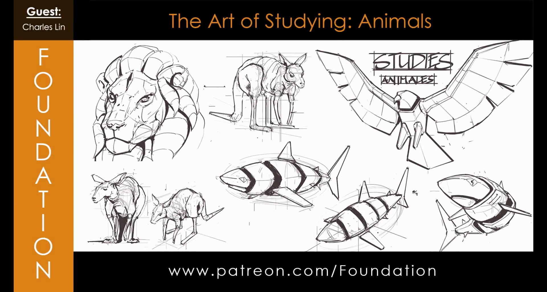 The Art of Studying – Animals with Charles Lin