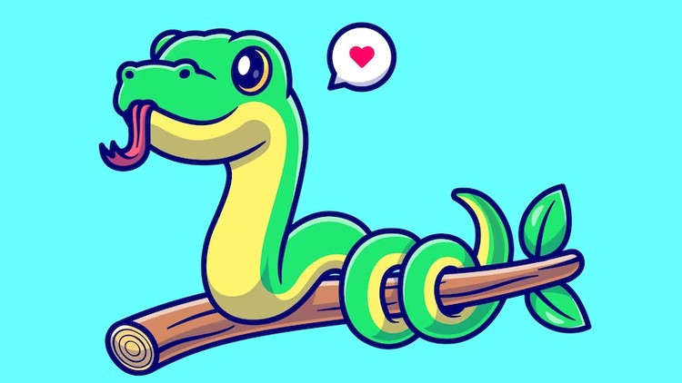 300+ Python Challenges: Python Exercises For Beginners 2023
