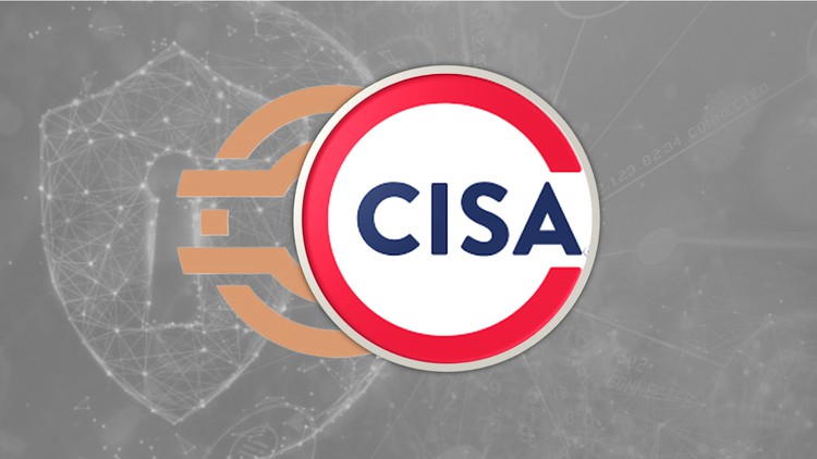 CISA Domain 2 Training – Information System Governance