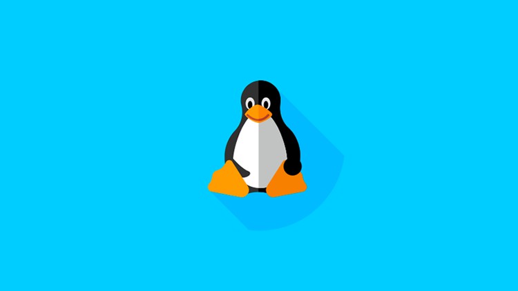 Linux 101: Your Comprehensive Linux Beginner’s Guide