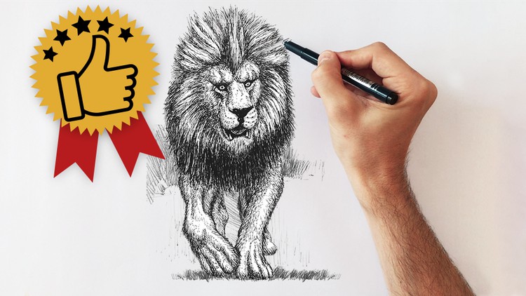 Drawing Academy – Creative Drawing, Illustration & Sketching