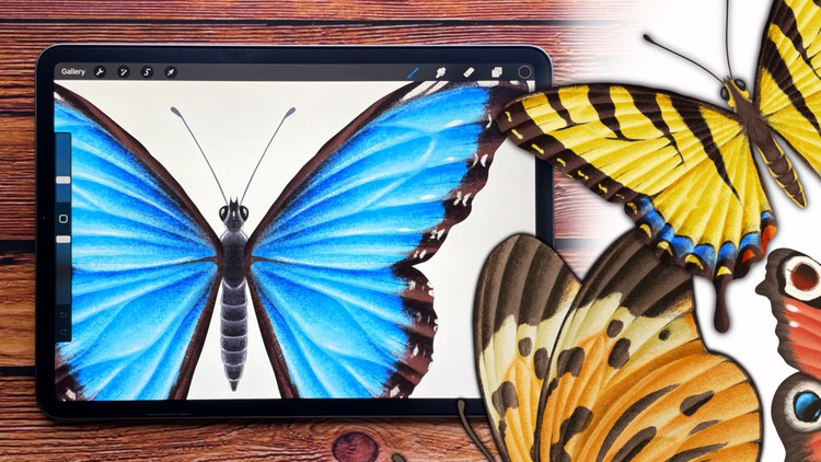 Procreate – Illustrate Butterflies And 3 Ways To Animate