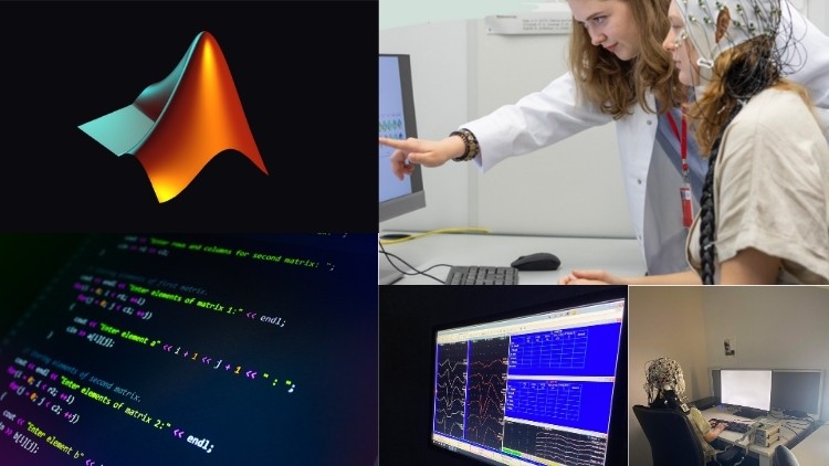 Beginner MATLAB Course for Neuroscience and Psychology