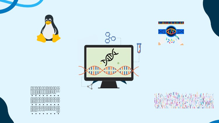 Comprehensive Bioinformatics: Learn Genomics Data Analysis