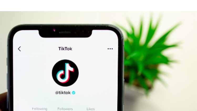 Guide to Running Successful TikTok Ads for Ecommerce Brands