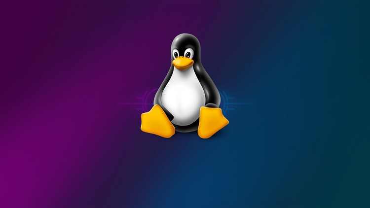 Basics of Linux Command Line 2024