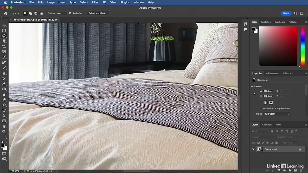 Leveraging AI in Adobe Photoshop and Creative Cloud