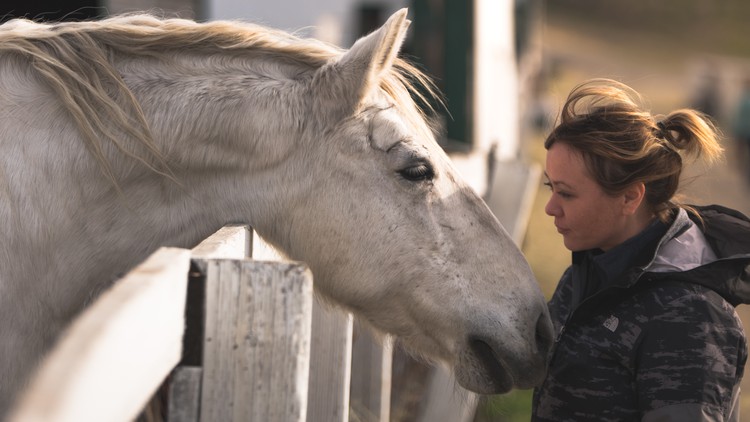 Equine Assisted Life and Work Skills Practitioner Course