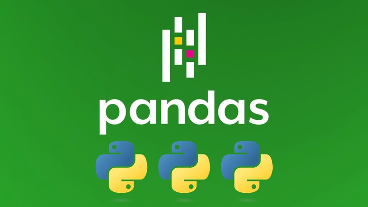 Master Pandas and Python for Data Handling [2024]