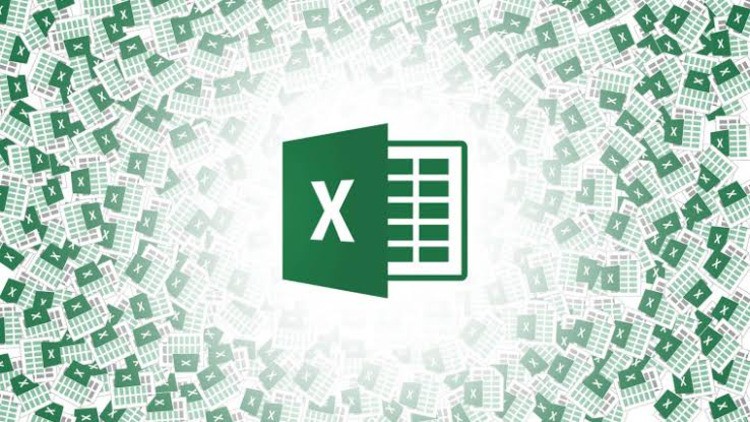 Microsoft Excel: Data Analysis with Excel Functions[PREMIUM]