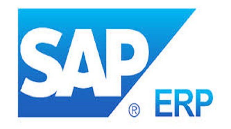 SAP ERP  for Beginners Course