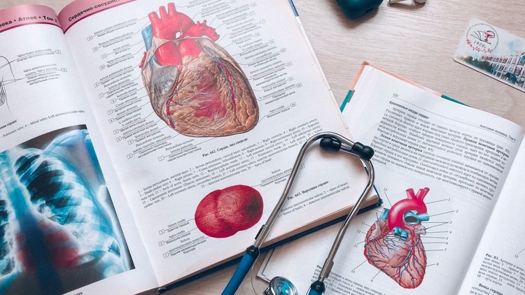 2024 Ultimate USMLE Step 1 Guide: Master the Exam