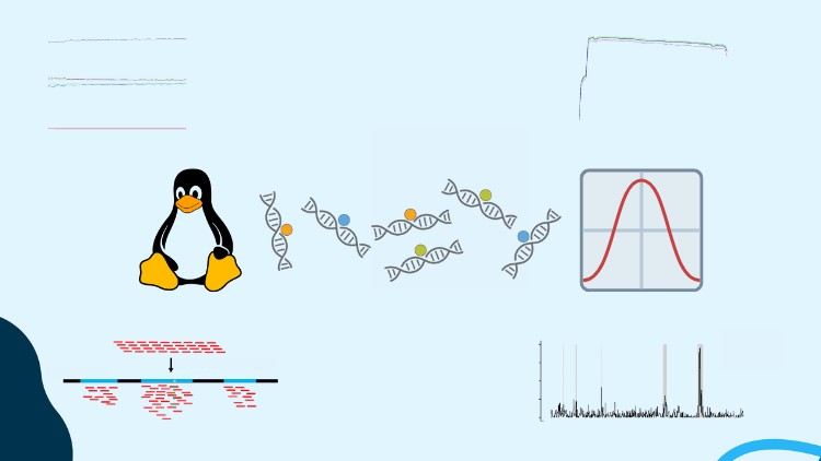 Learn ChIP-seq Data Analysis Using bioinfo Linux Pipeline