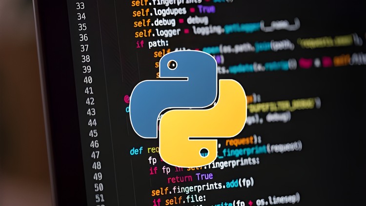 Crack the Python Code: Your Shortcut to Coding Mastery