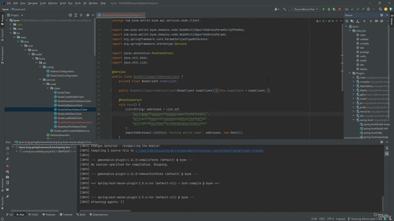 Master Bitcoin Development – Build Your Own Wallet Today!