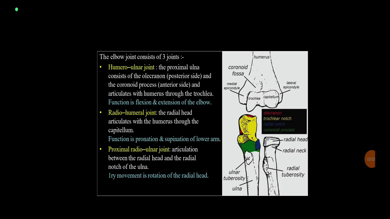 Radiology X-Ray of Elbow and Forearm