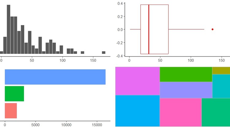 Univariate analysis using R programming