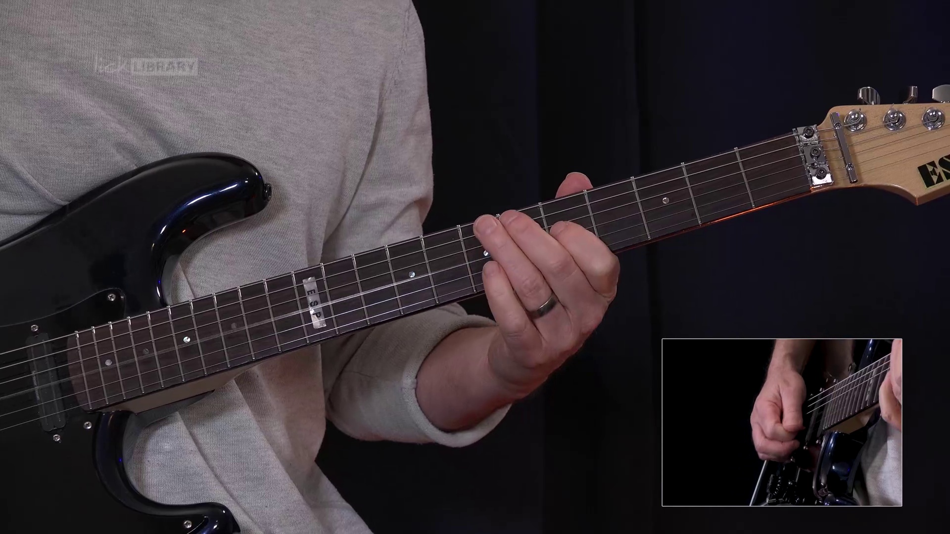 Robert Palmer Guitar Song Lessons