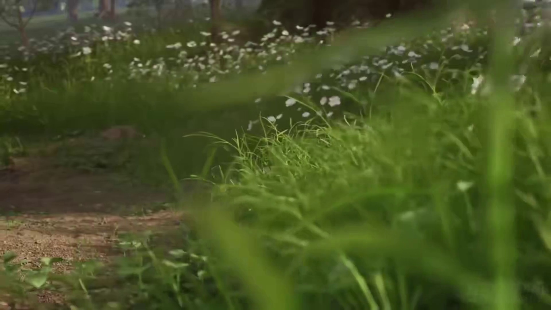 creating foliage for videogames