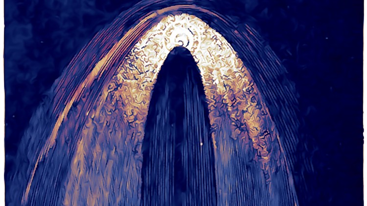 Feel Your Light Body