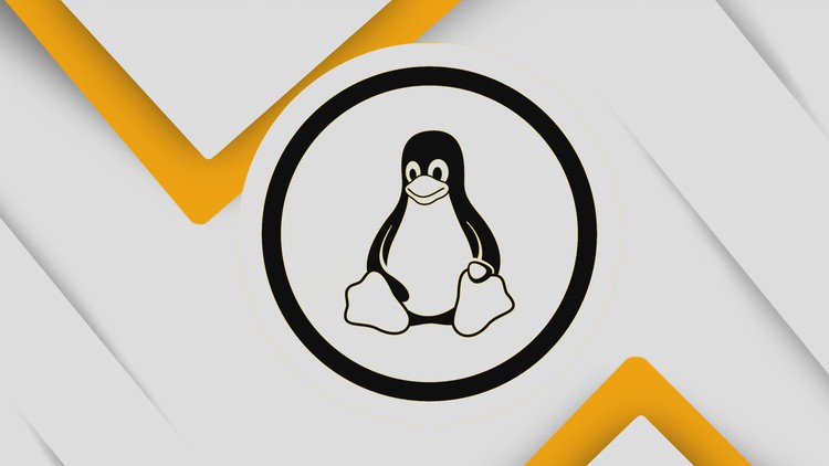 Linux Beginner Commands || The Basics of Linux Command Line