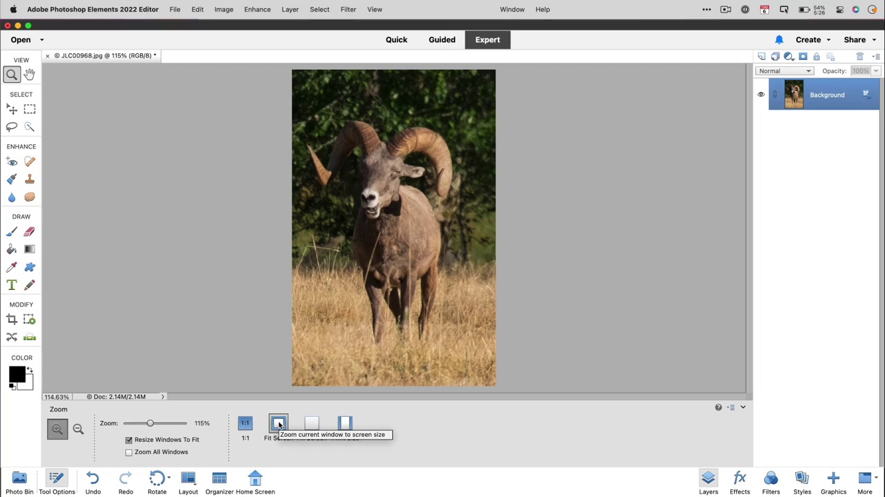 Adobe Photoshop Elements Visual QuickStart Guide (Video)