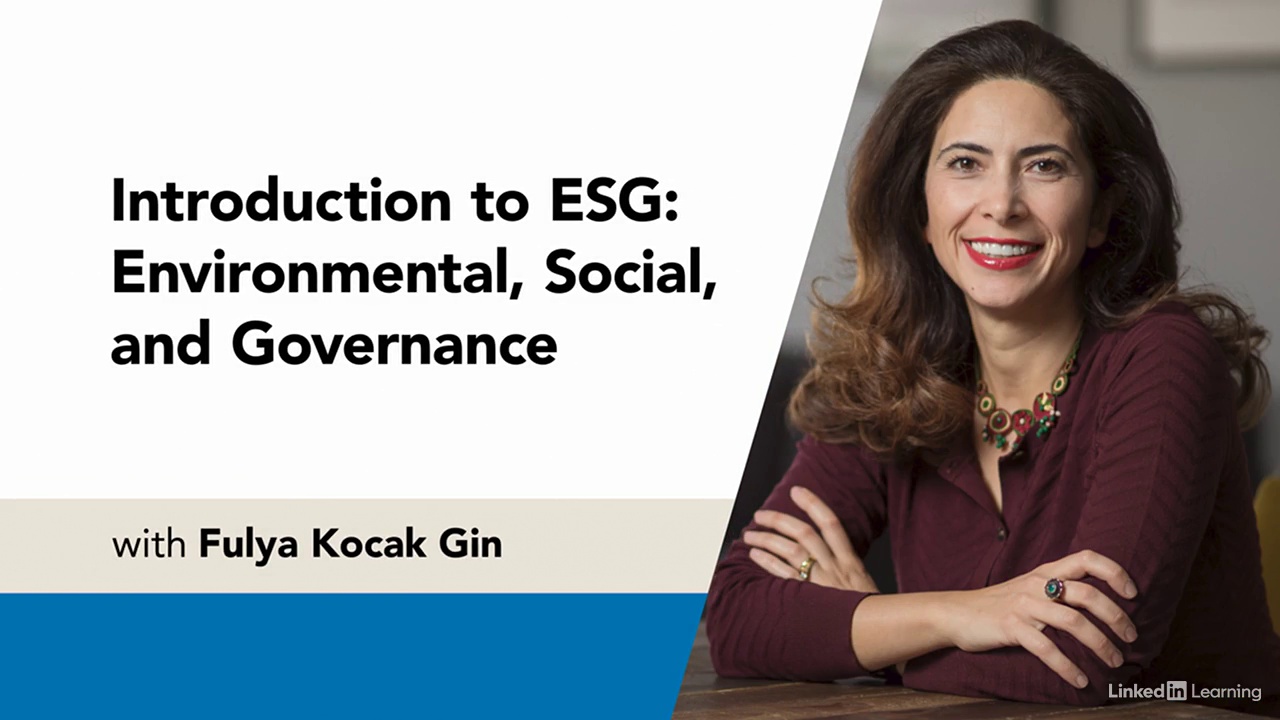 Introduction to ESG Environmental, Social, and Governance