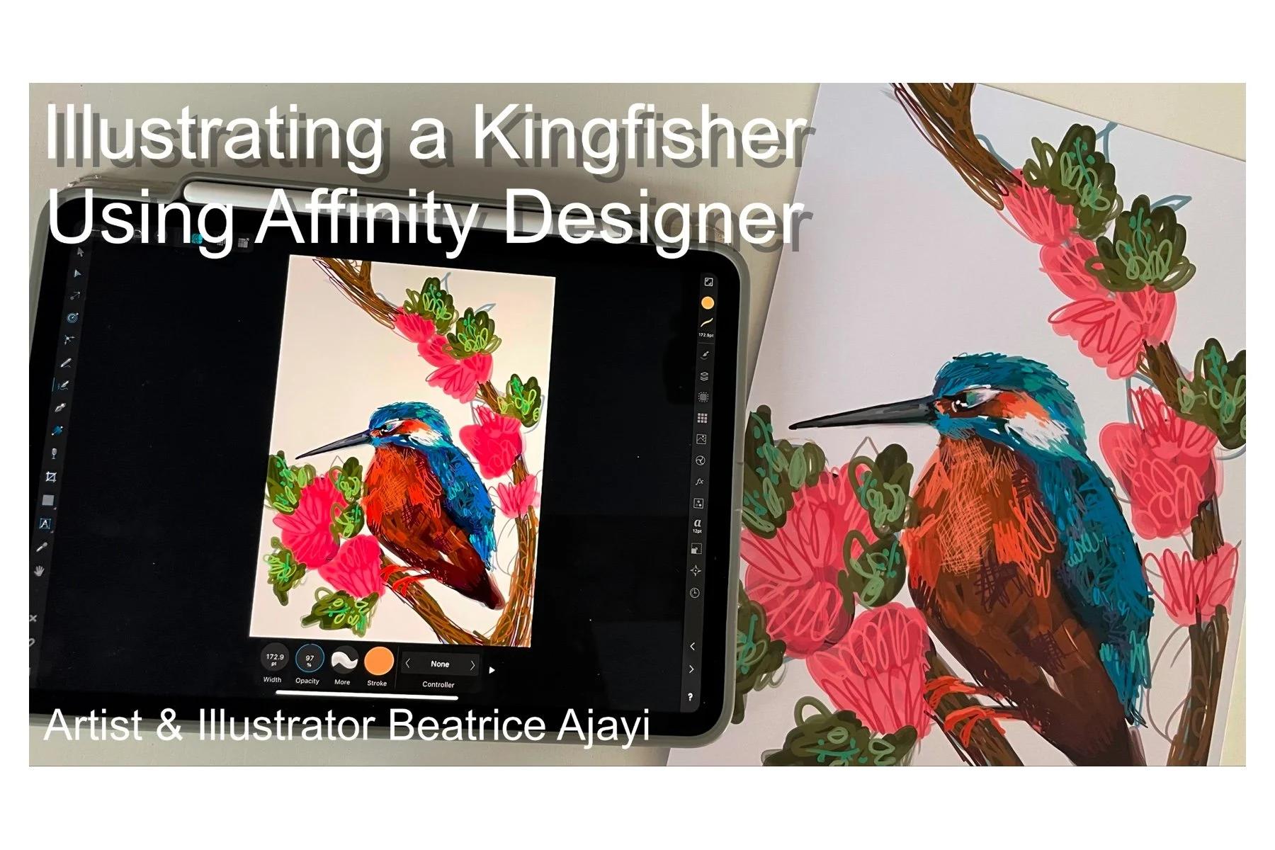 Illustrating a Kingfisher Using Affinity Designer